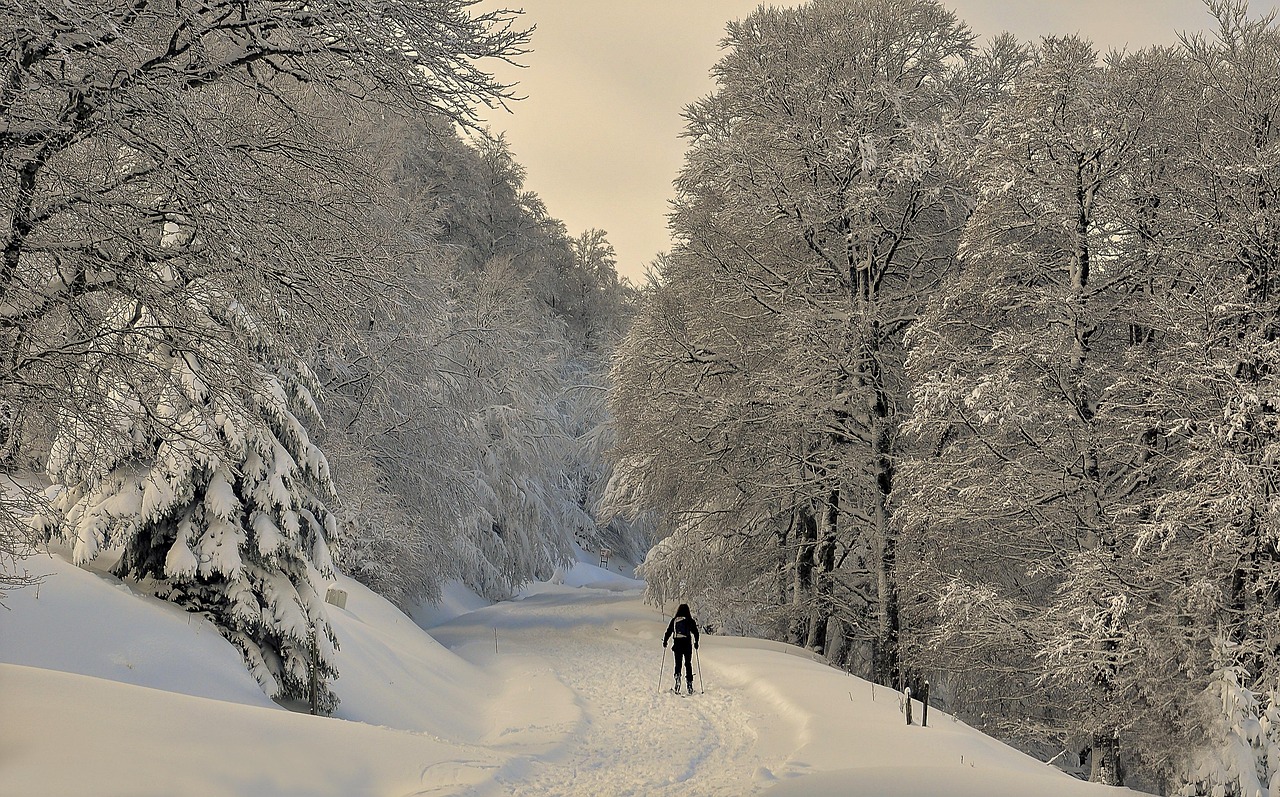 Irati, nature, snow, forest, pyrenees, trees, sky, mountain, landscape, cold, nevada, mount, snowy landscape, winter