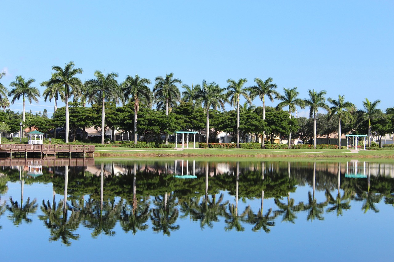 Nature, palmas, lake, darling, highlights, wellington, florida, landscape, wellington, wellington, wellington, wellington, wellington, florida, florida