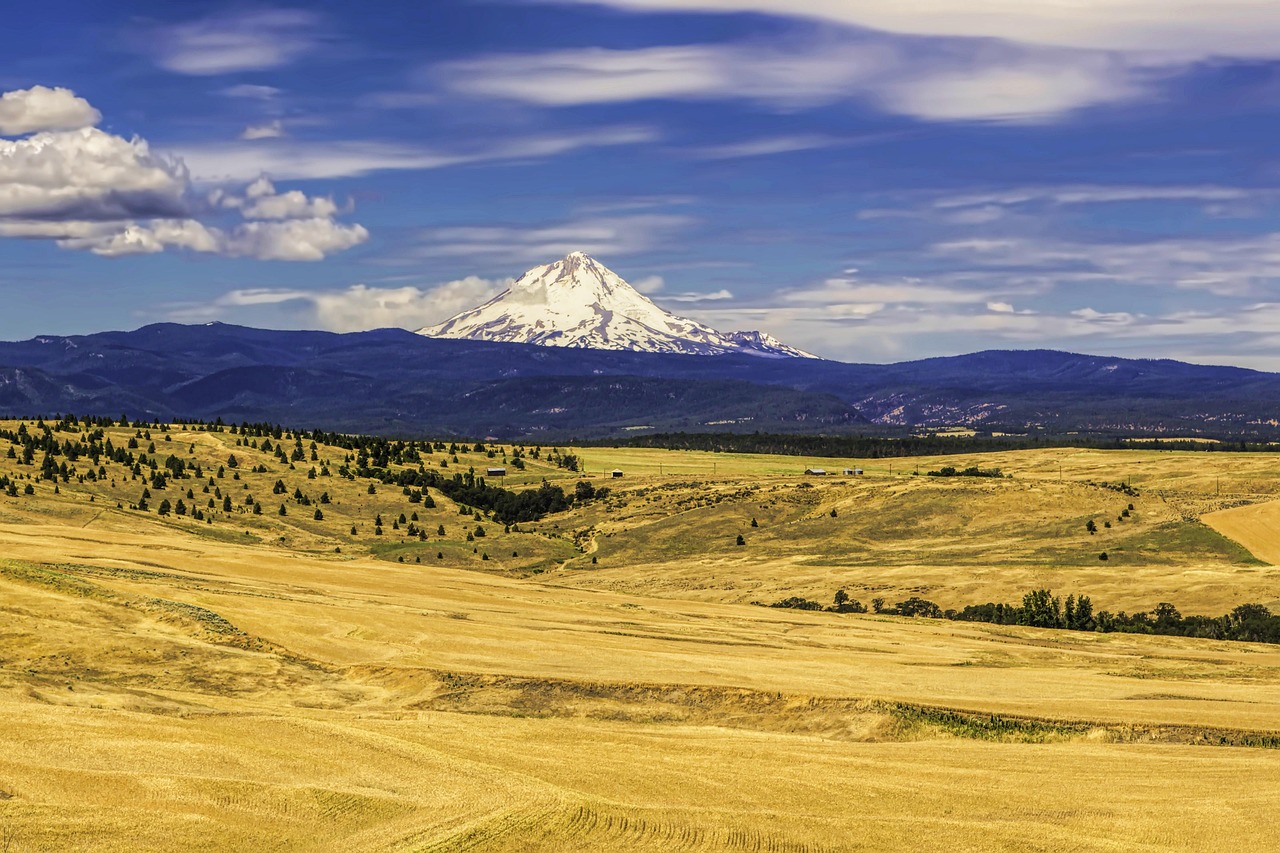 Mt, hood, oregon, scenic, landscape, usa, northwest, nature, mountain, america, travel, oregon, oregon, oregon, oregon, oregon