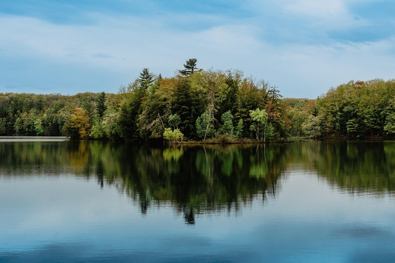 Trees, lake, forest, greenery, fall, shoreline, pond, fishing, camping, michigan, nature, landscape