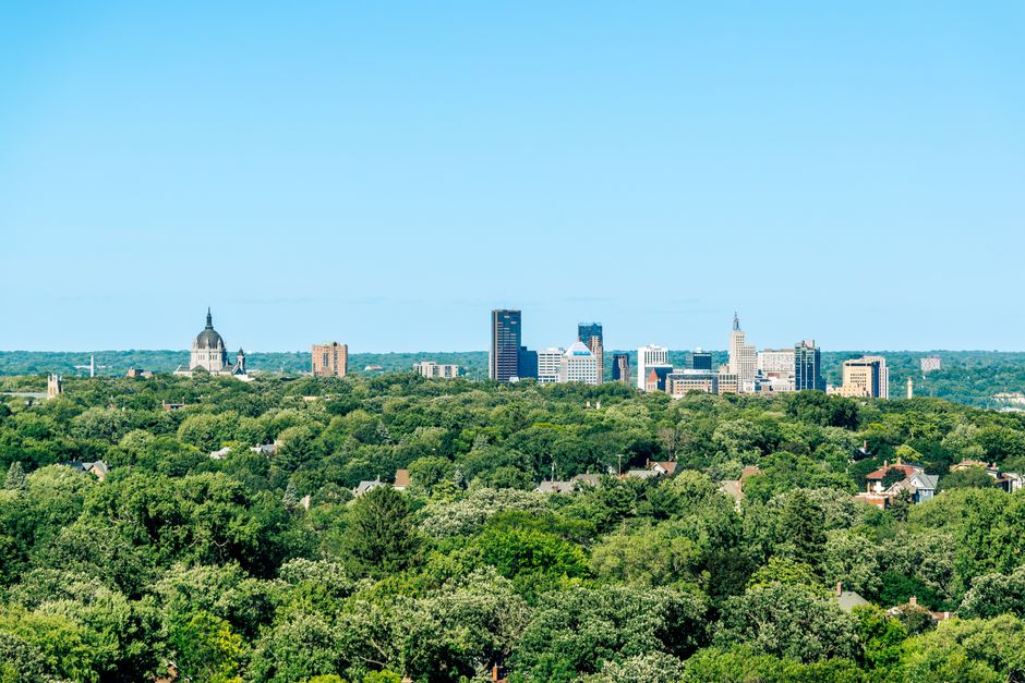 A panoramic view of Saint Paul's skyline standing behind a vast area of lush greenery under a clear blue sky.