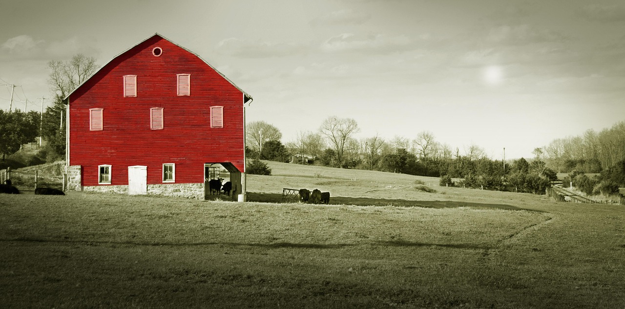 Shenandoah valley, virginia, the red barn, almost spring, landscape, shenandoah valley, shenandoah valley, shenandoah valley, shenandoah valley, shenandoah valley