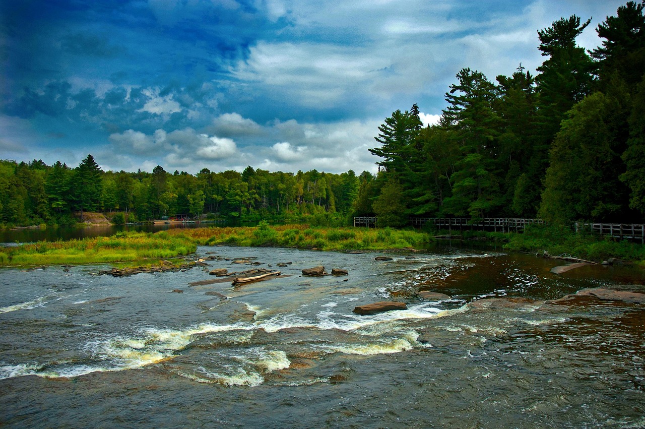Michigan, water, forest, sky, nature, landscape, outdoors, summer, clouds, river, stream, trees, environment, michigan, michigan, michigan, michigan, michigan