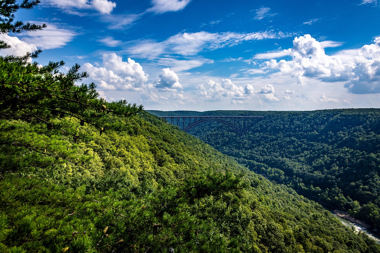Mountains, bridge, trees, landscape, travel, outdoor, tree, river, scenic, nature, west virginia, wv, west virginia, west virginia, west virginia, west virginia, west virginia