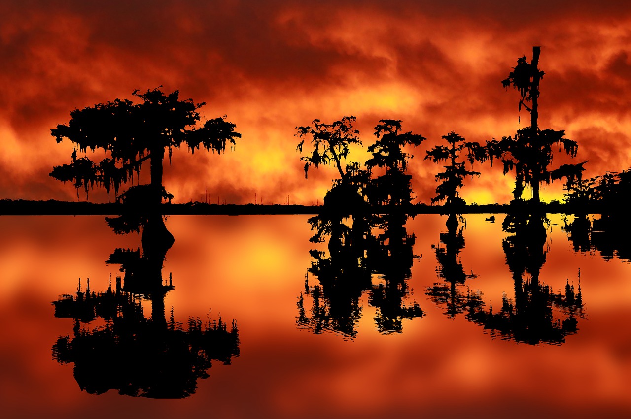 Sunset, america, louisiana, bayou, marsh, water, silhouette, reflection, landscape, dusk, nature, clouds, the water, sun, scenic, summer, louisiana, louisiana, louisiana, bayou, bayou, bayou, bayou, b