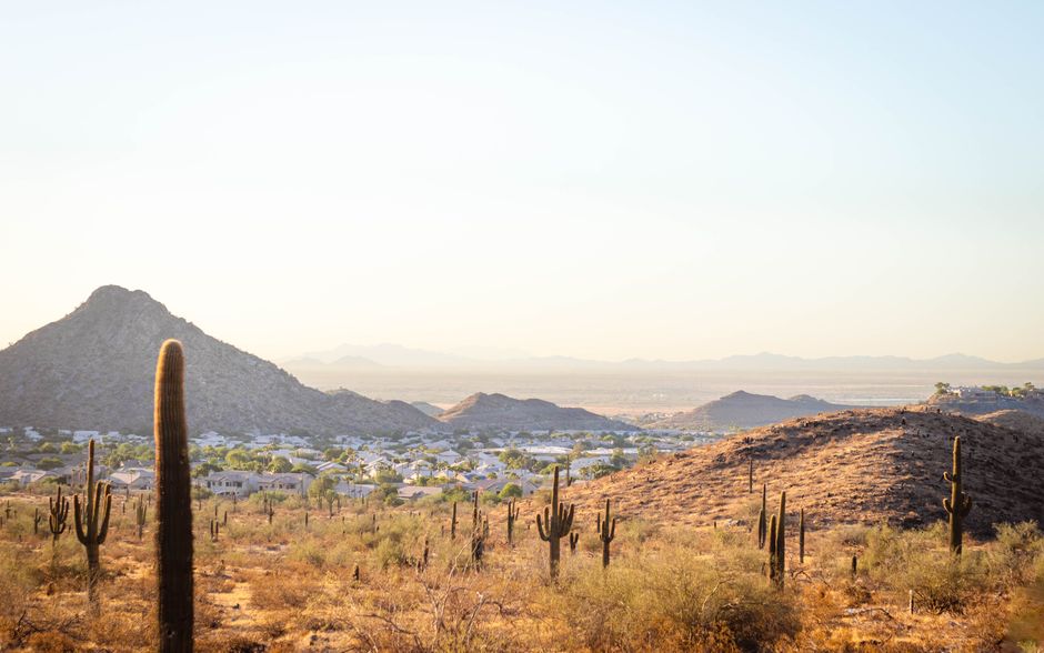 A stunning desert landscape with cacti and distant mountains near Phoenix, Arizona during sunset.