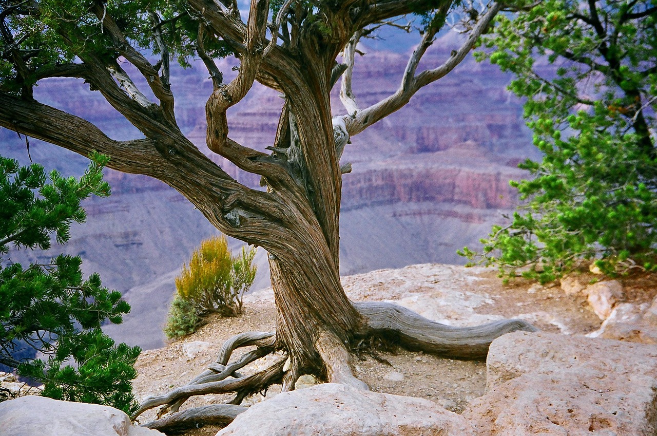 Grand canyon, canyon, valley, cliff, gorge, rocks, scenic, tourism, geology, arizona, nature, landscape, national park, grand canyon, grand canyon, grand canyon, grand canyon, grand canyon, canyon, cl