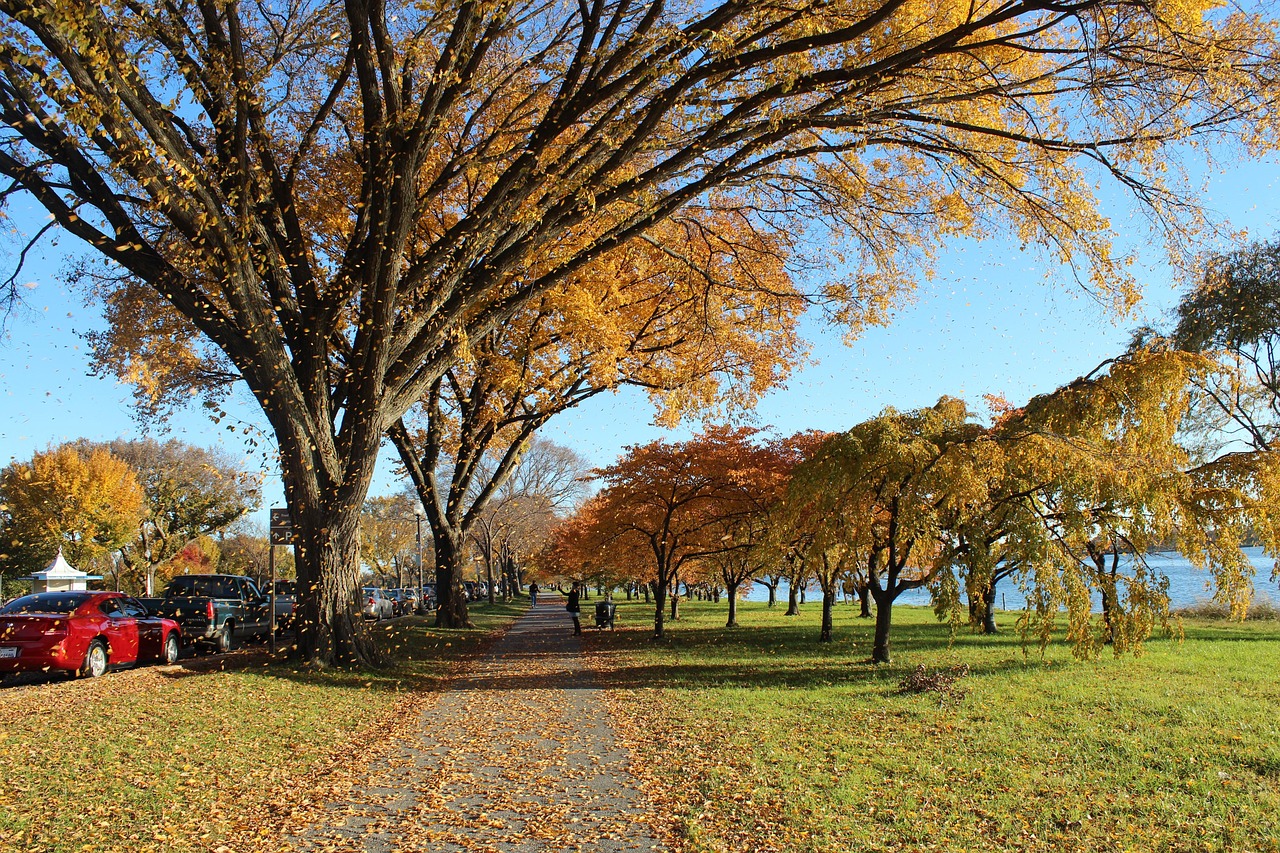 Washington dc, washington, d, c, potomac river, scenery, tourism, landscape, monument, potomac, cloud, river, panorama, water, nature, sky, sunset, travel, lake, sunrise, forest, tree, washington dc,