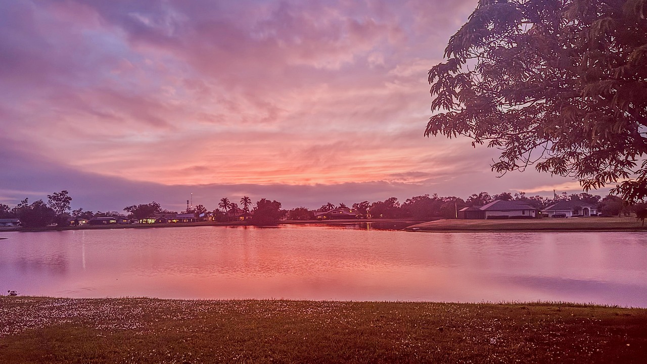 Sunset, pink, outdoors, nature, palm, clouds, landscape, United States, Florida, Harbour Heights