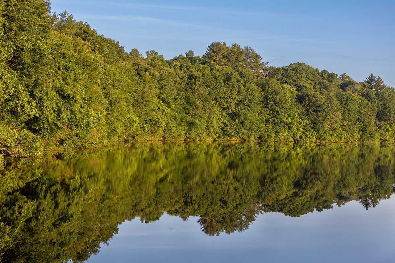 Forest, lake, trees, nature, landscape, outdoors, scenery, woods, massachusetts, usa, reflection