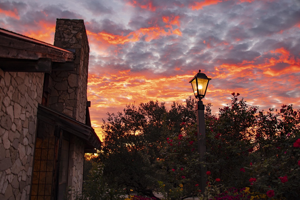 Sunrise, street lamp, landscape, nature, colorful, flower garden at sunrise, texas hill country