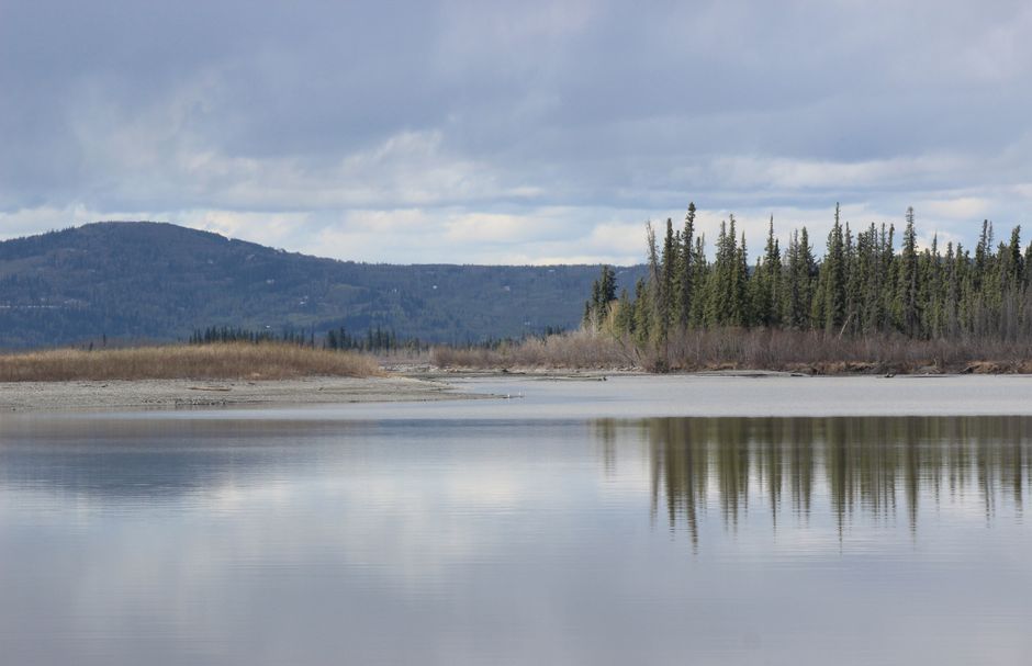 Tranquil landscape featuring a calm lake and evergreen forest under a cloudy sky in Fairbanks, Alaska.