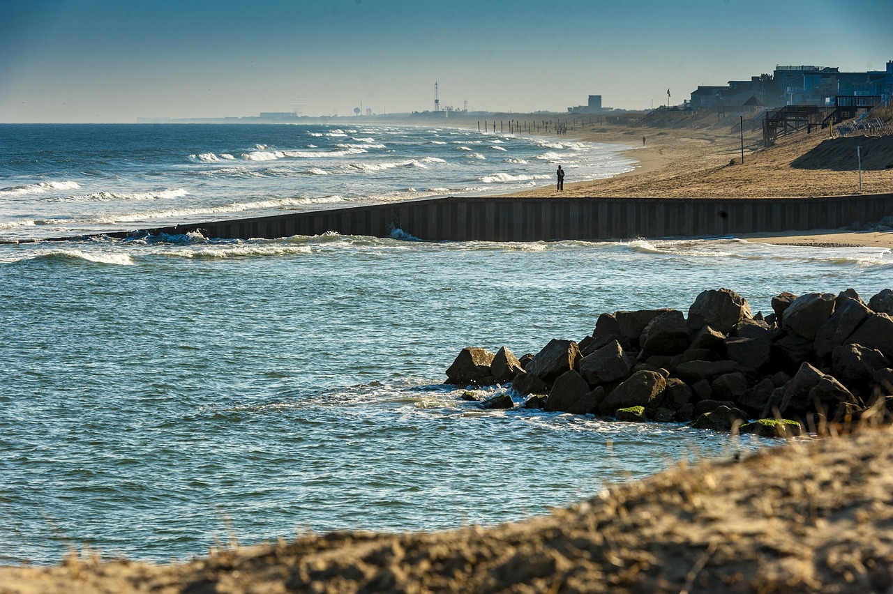 Virginia beach, nature, southeast virginia, ocean, shore