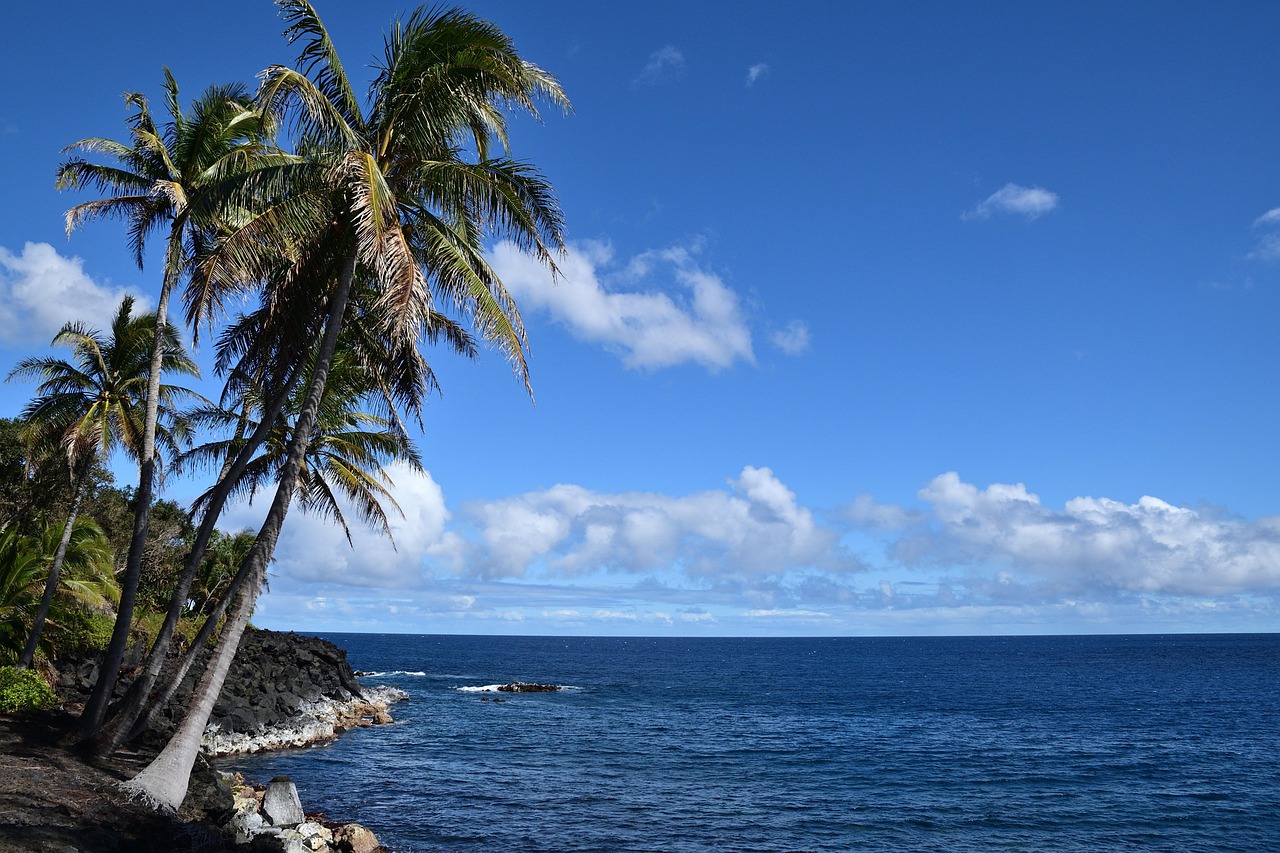 Island, seashore, hawaii, volcanic soil, sea, ocean, sky, landscape, vacation, nature, paradise, hawaii, hawaii, hawaii, hawaii, hawaii