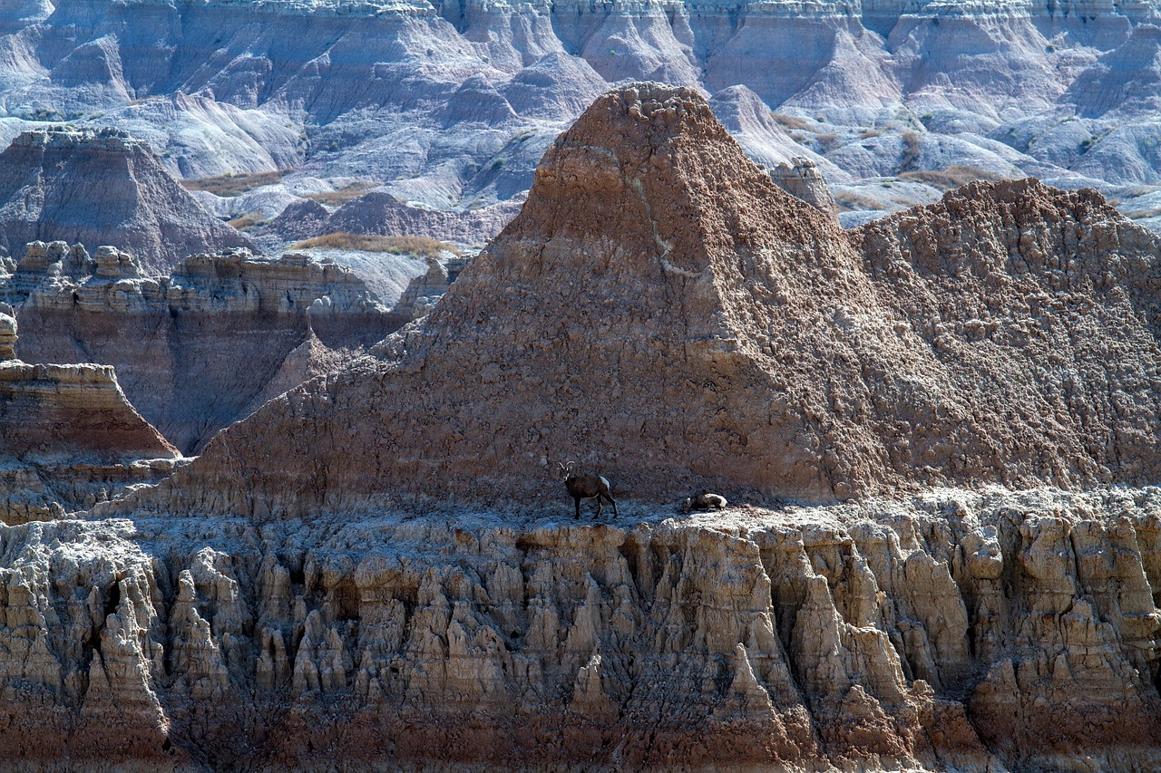 Badlands national park, south dakota, usa, lakota, united states, badlands, america, landscape, north america, national park, prairie, south dakota, south dakota, south dakota, south dakota, south dak