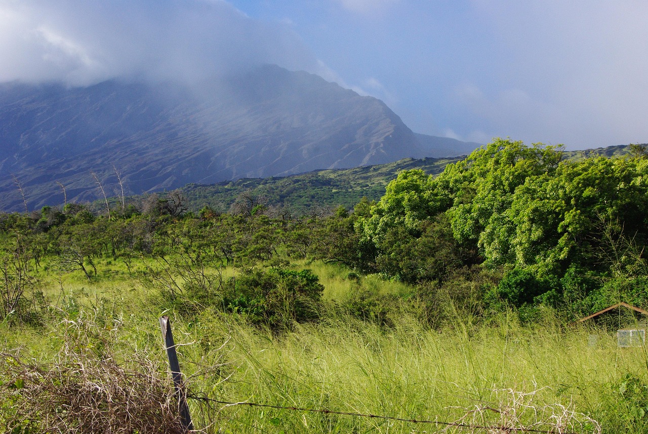 Scenery, hawaii, landscape, travel