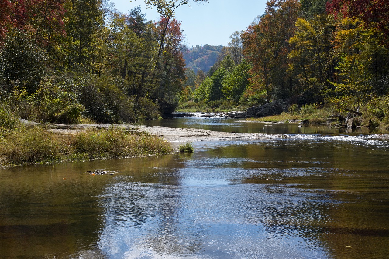 Landscape, peaceful, scenery, nature, autumn, season, yellow leaves, river, north carolina, north carolina, north carolina, north carolina, north carolina, north carolina
