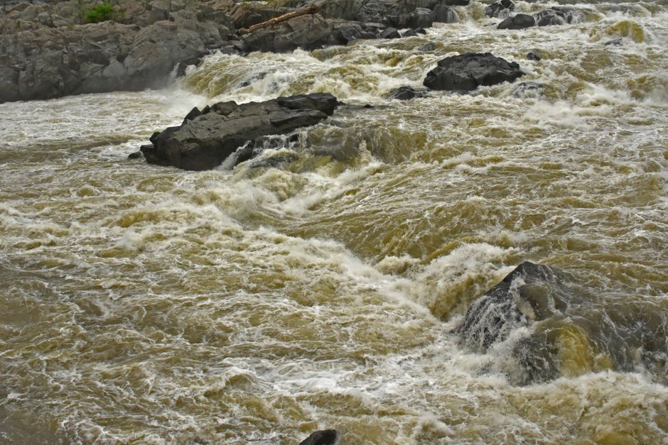 Dynamic view of Great Falls' rapids on the Potomac River showcasing powerful water flow.