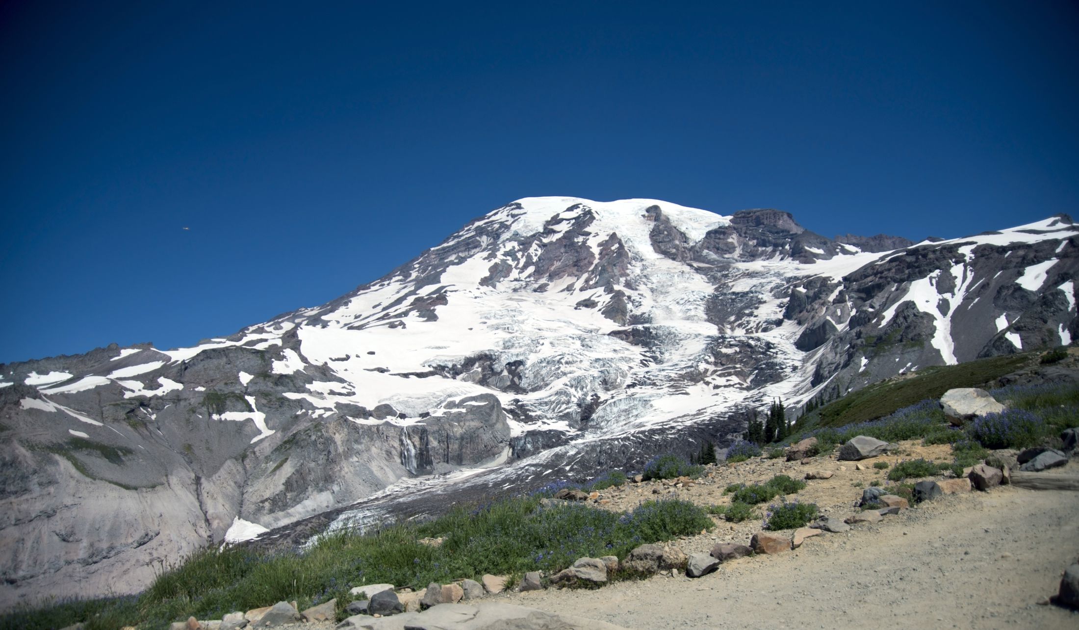 Mount Rainier with snow and forest in Mount Rainier National Park