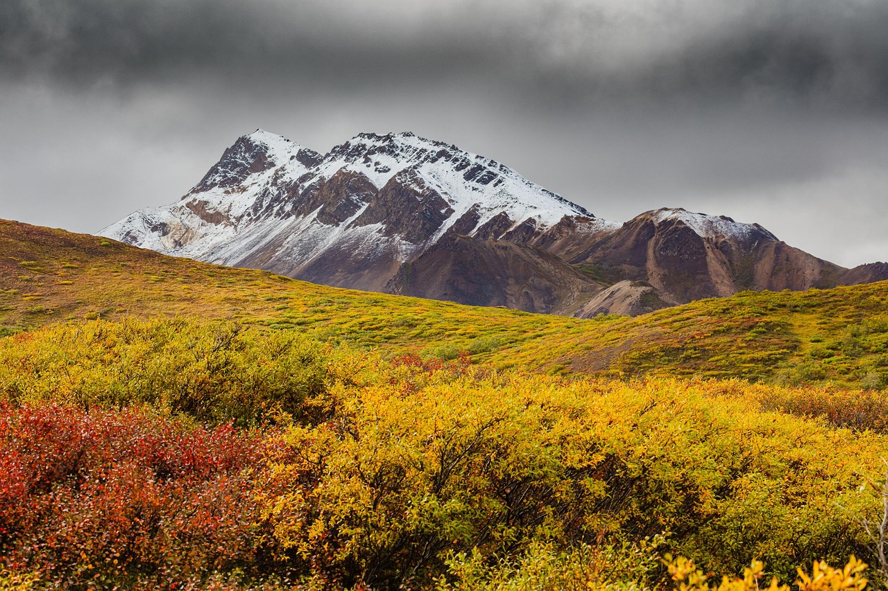 Autumn, mountain, meadow, nature, landscape, fall, alaska, autumn colors, foliage, overcast, alaska, alaska, alaska, alaska, alaska