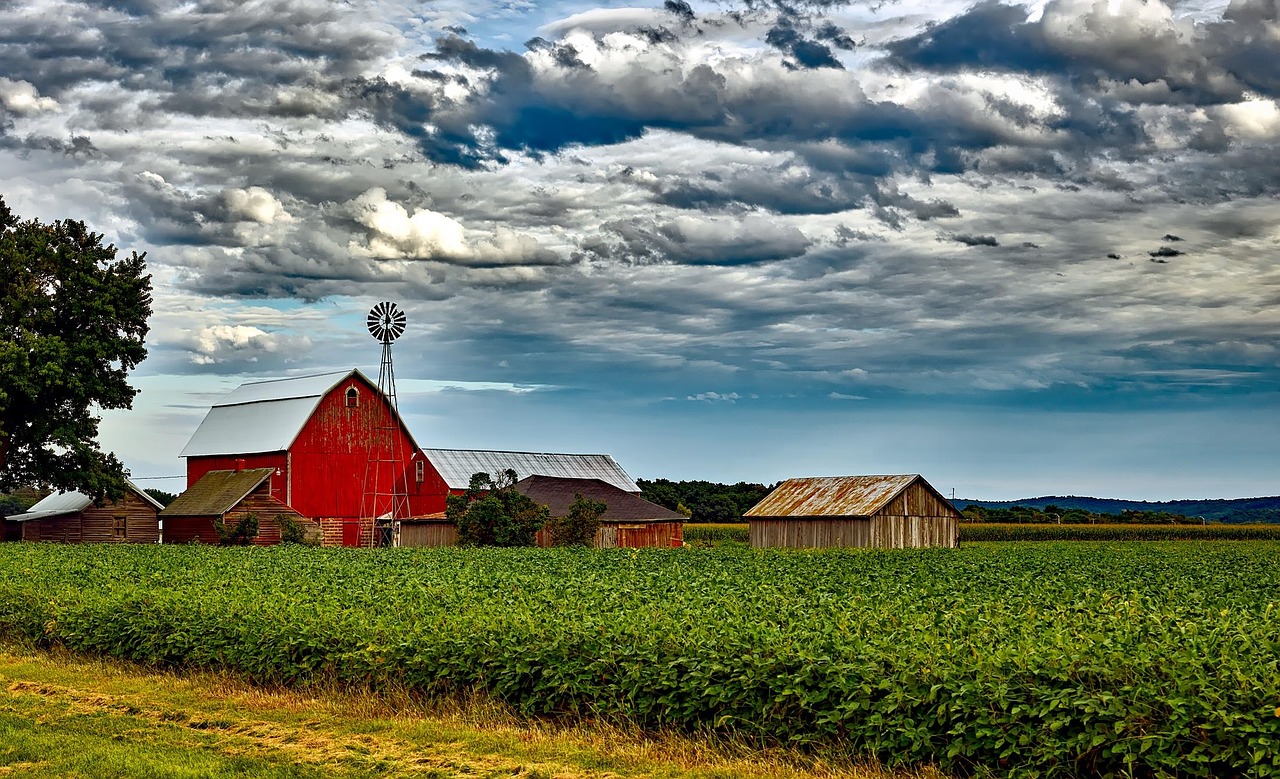 Wisconsin, landscape, scenic, sky, clouds, barn, windmill, buildings, soybeans, field, crop, agriculture, nature, outdoors, country, countryside, rural, farm, hdr, wisconsin, wisconsin, wisconsin, bar