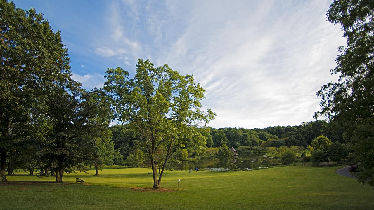 Summer, virginia, northern virginia, park, green, landscape, sky, sunny, forest, field, trees, tranquil, afternoon, tress, natural, beautiful, outdoor, season, scenic, clouds, light, relax, botanical