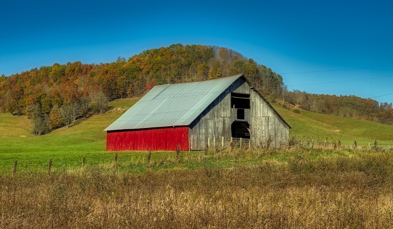 West virginia, autumn, fall, panorama, landscape, hills, forest, trees, woods, barn, farm, fields, meadows, nature, outdoors, beautiful, country, rural, america, west virginia, west virginia, west vir