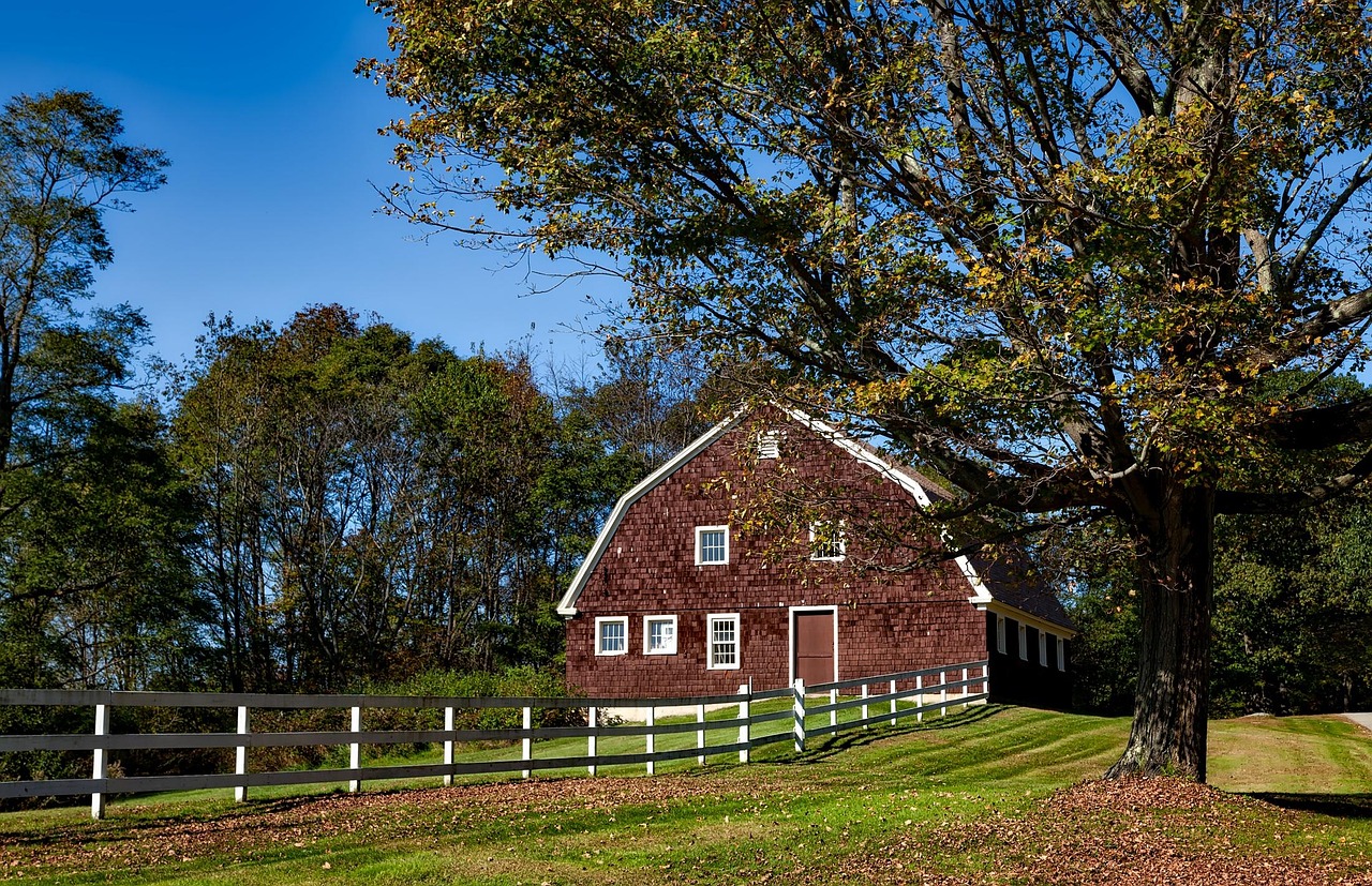 Barn, connecticut, fall, autumn, foliage, fallen leaves, meadow, field, hdr, landscape, scenic, farm, picturesque, idyllic, forest, trees, woods, nature, outdoors, country, countryside, rural, rustic,