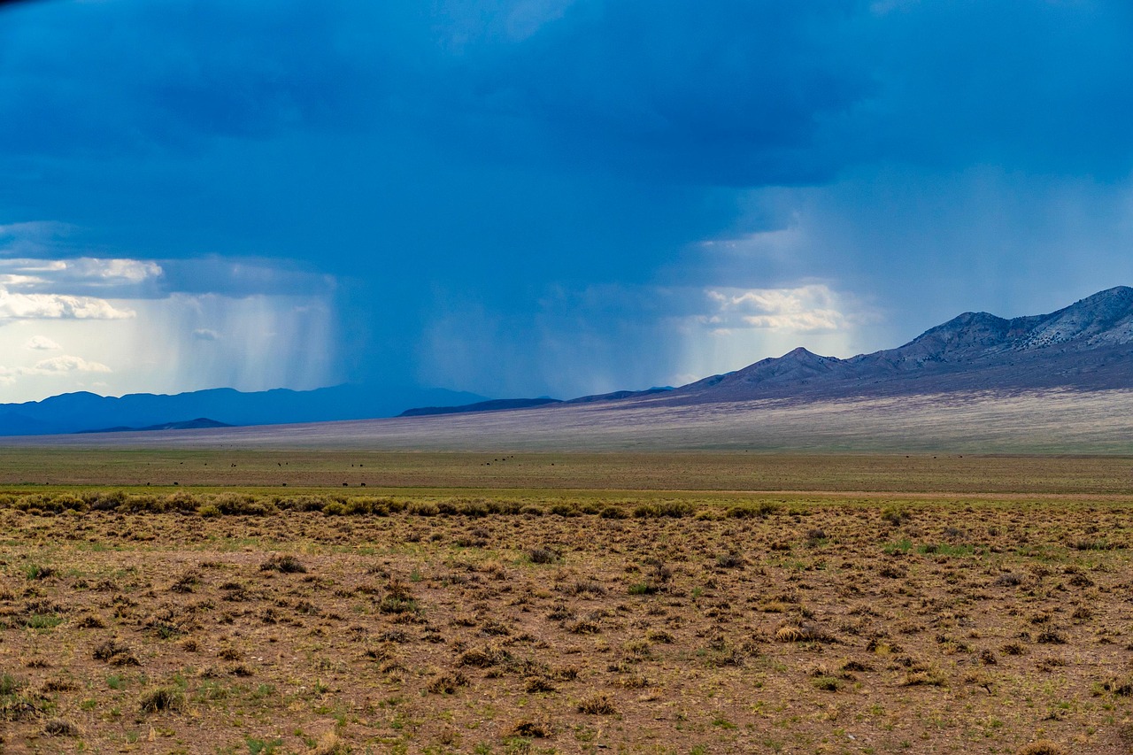Desert, rain, storm, mountains, nature, landscape, nevada, arid landscape