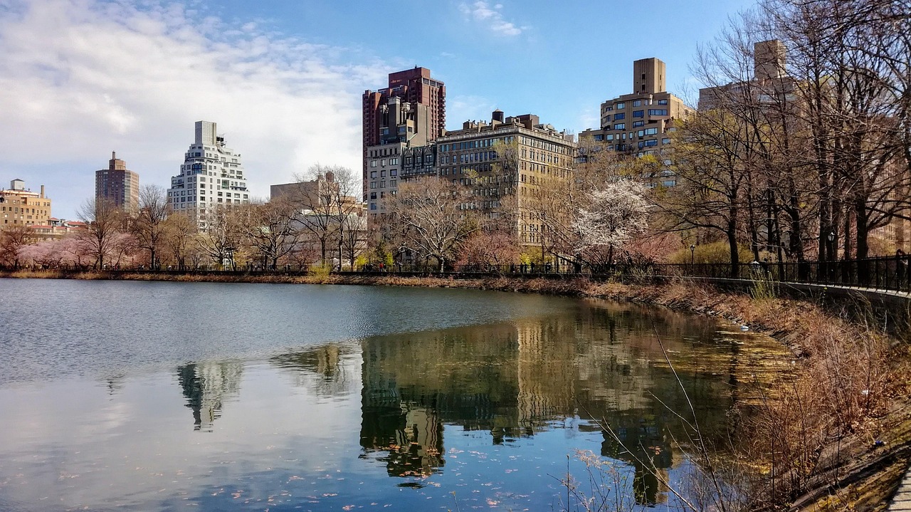 Reservoir, jacqueline, nature, kennedy, onassis, water, reflection, new york, central park, building, United States, New York