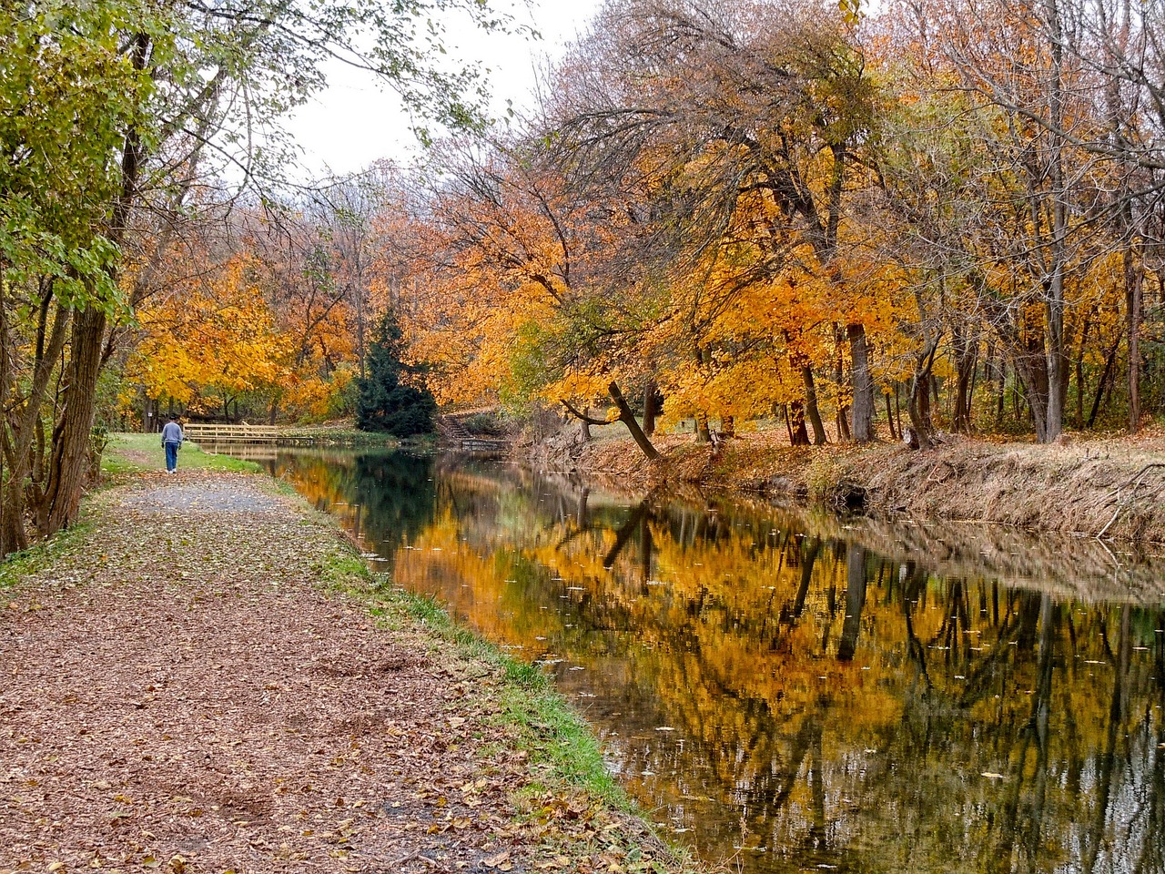 Pennsylvania, canal, water, forest, trees, woods, fall, autumn, nature, outside, country, countryside, landscape, scenic, pennsylvania, pennsylvania, pennsylvania, pennsylvania, pennsylvania
