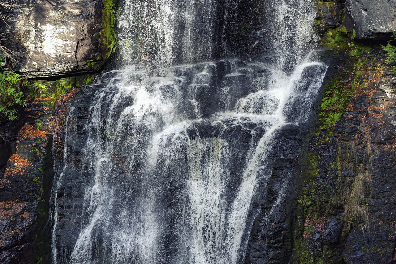 Waterfall, landscape, nature, water, mountain, forest, green, travel, rock, scenic, stream, park, river, natural, national, outdoor, fall, flow, cascade, foliage, environment, scenery, season, autumn,