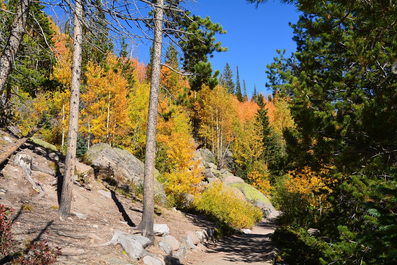 Landscape, mountains, scenic, nature, colorado, estes, park, colorado, colorado, colorado, colorado, colorado