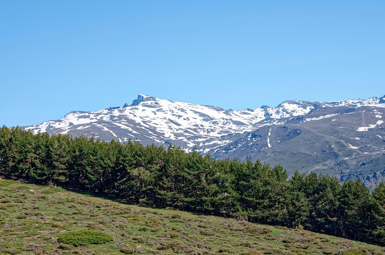 Spain, andalusia, province, nature, province of granada, sierra nevada national park, national park of sierra nevada, sierra nevada, landscape, mountain range, snow, mountains, hill, forest, trees, gr