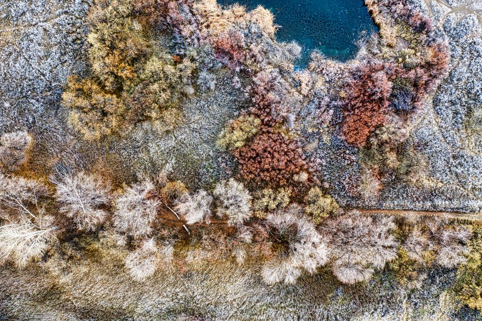 Stunning aerial view of vibrant autumn foliage surrounding a pond in Yakima, Washington.