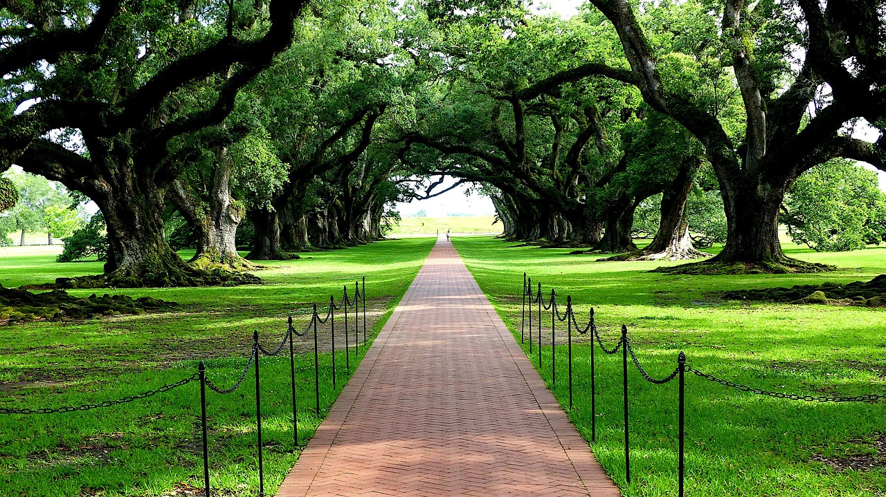 Path, park, oak, trees, pathway, plantation, historic, historical, landscape, louisiana, america, usa